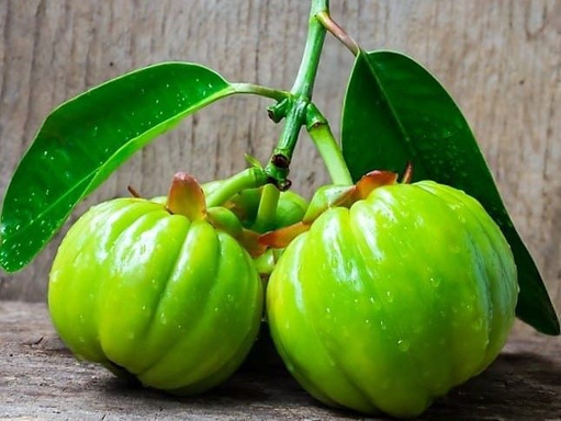 GARCINIA CAMBODIA: SUPERFOOD FOR SLIMMING