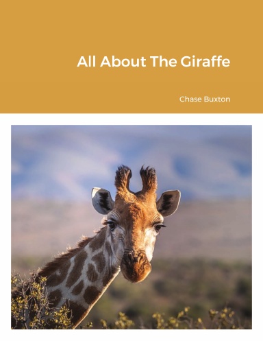 All About The Giraffe