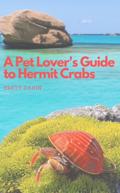 A Pet Lover's Guide to Hermit Crabs