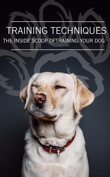 Training Techniques - a inside scoop on training your dog