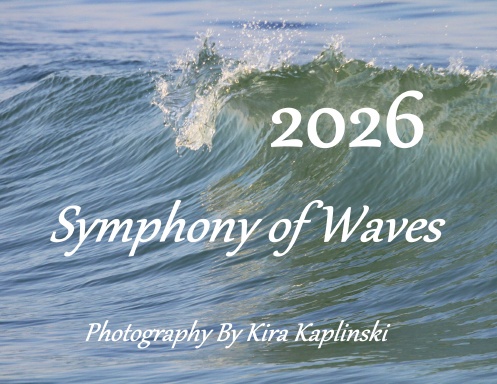 Symphony Of Waves - Calendar 2026