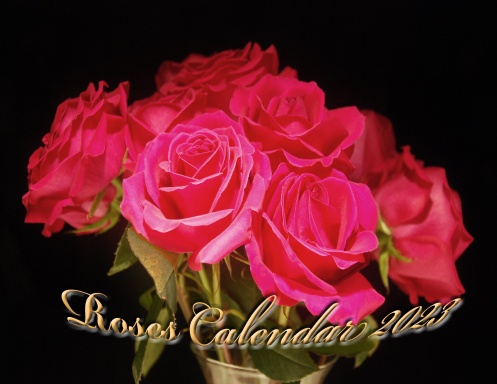 Roses Calendar 2023