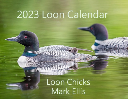 2023 Loon Calendar