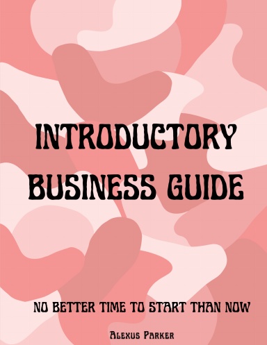 Introductory Business Guide