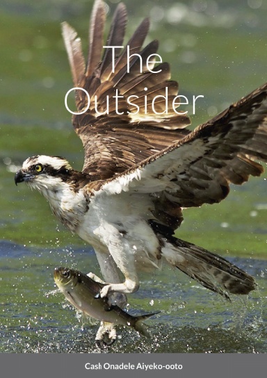 The Outsider