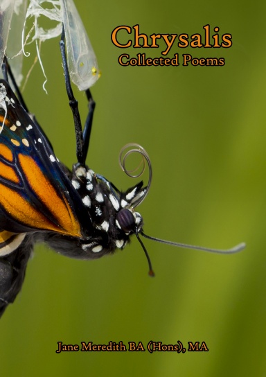 Chrysalis