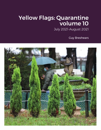 Yellow Flags: Quarantine volume 10