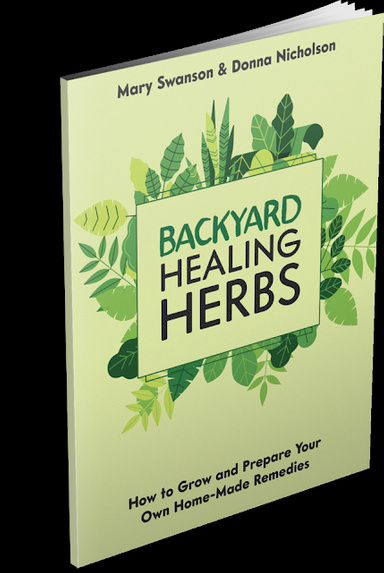Medicinal Herbs Already Growing in Your Backyard