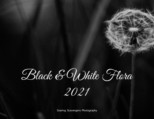 Black & White Flora 2021