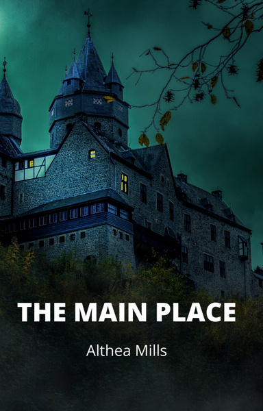 THE MAIN PLACE