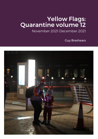 Yellow Flags: Quarantine volume 12