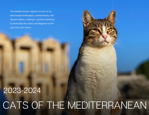 Cats of the Mediterranean