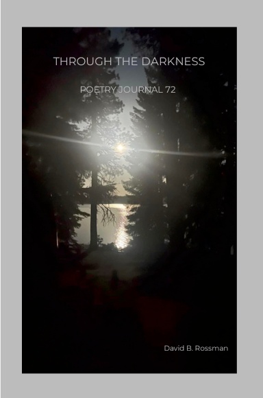 THROUGH THE DARKNESS