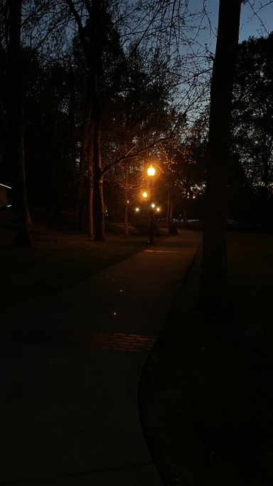 AMJ. My Mind and Life.