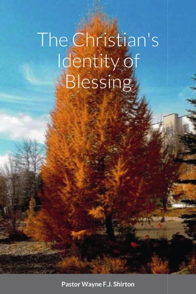 The Christian's Identity of Blessing