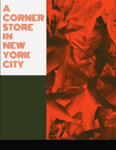 A CORNER STORE IN NEW YORK CITY