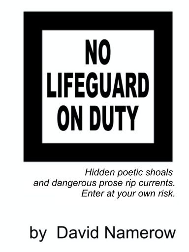 NO LIFEGUARD ON DUTY
