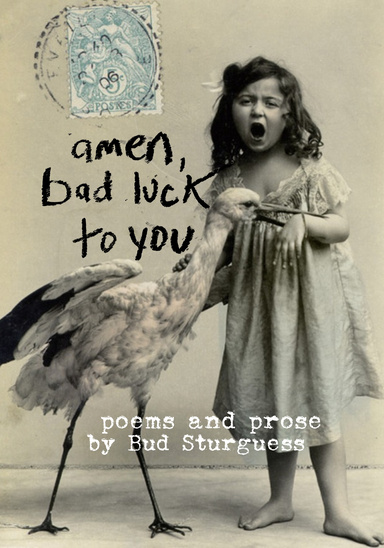 Amen, Bad Luck To You: Poems & Prose