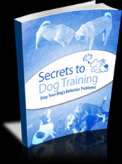 Secrets To Dog Training
