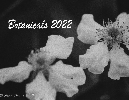 Botanicals 2022