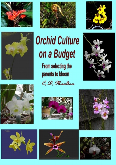 Orchid Culture on a Budget