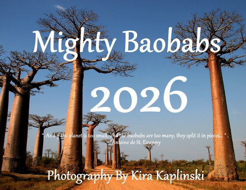 Mighty Baobabs Calendar 2026