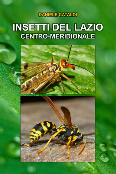 Insetti del Lazio Centro-Meridionale
