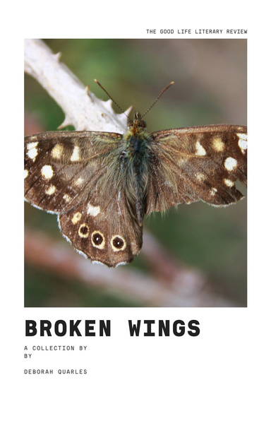 Broken Wings
