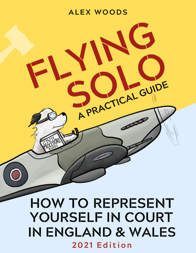 Flying Solo: How to Represent Yourself in England and Wales