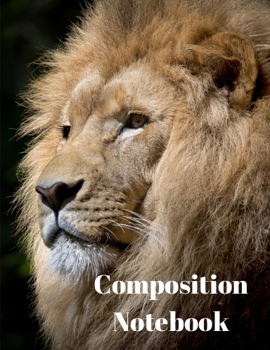 Composition notebook