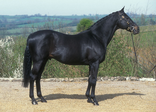 Rixan