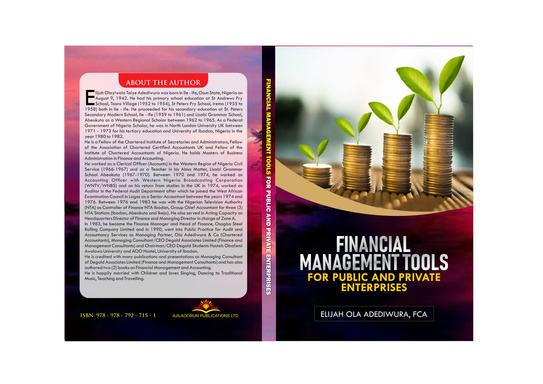 Financial Management Tools for Public and Private Enterprise
