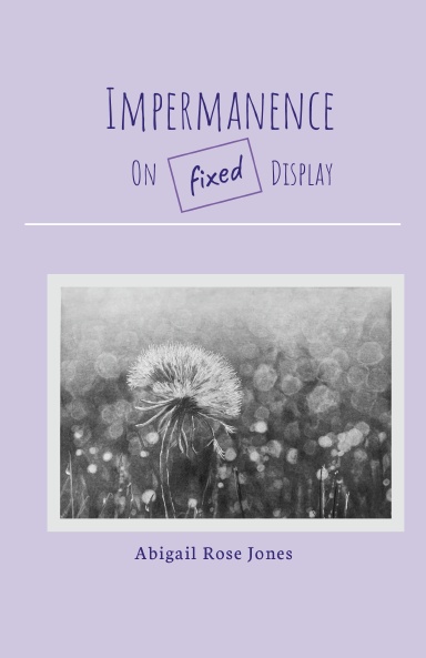 Impermance on Fixed Display
