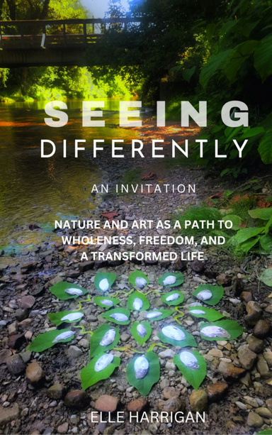 Seeing Differently An Invitation