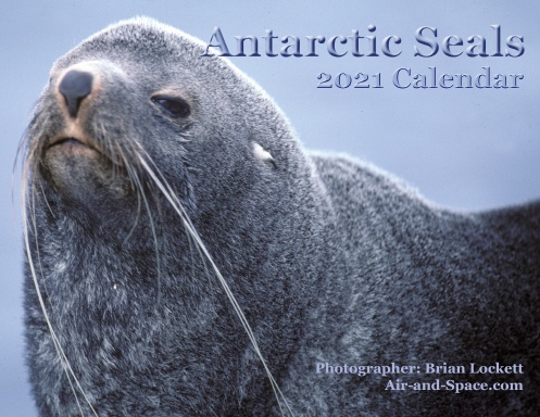 Antarctic Seals, 2021 Calendar