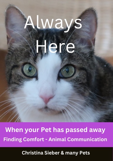 Always Here