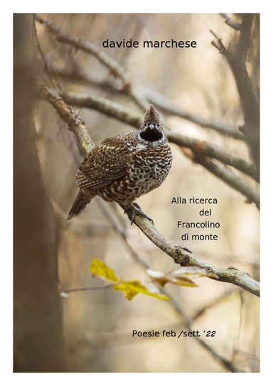 Alla ricerca del Francolino di monte