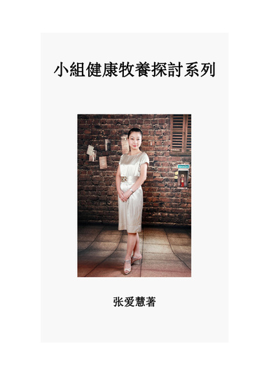 小組健康牧養探討系列(繁體中文）