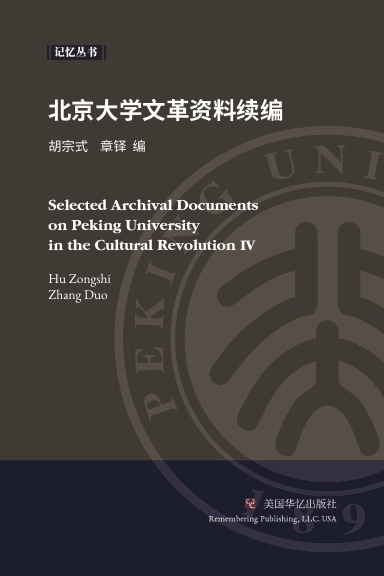 北京大学文革资料续编