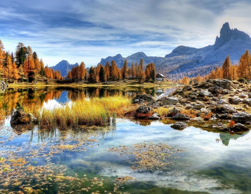 Nature's Beauty 2027 Calendar