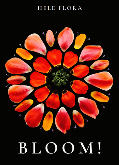 BLOOM!