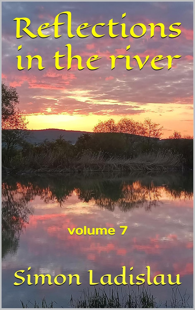 Reflections in the river, volume 7