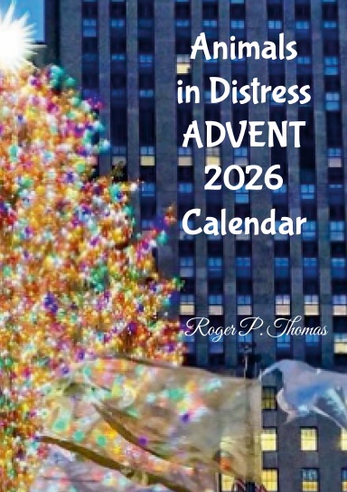 AID Advent Calendar 2026