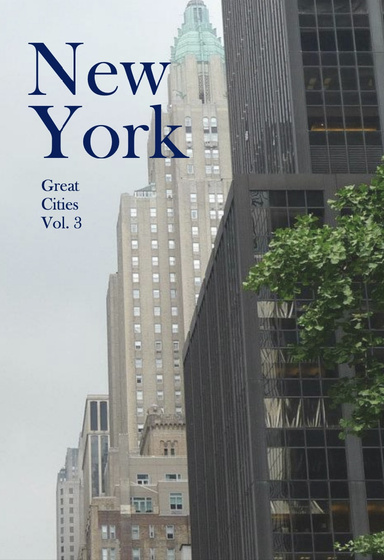 New York Great Cities Vol. 3