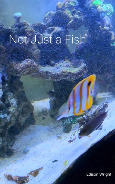 Not Just a Fish