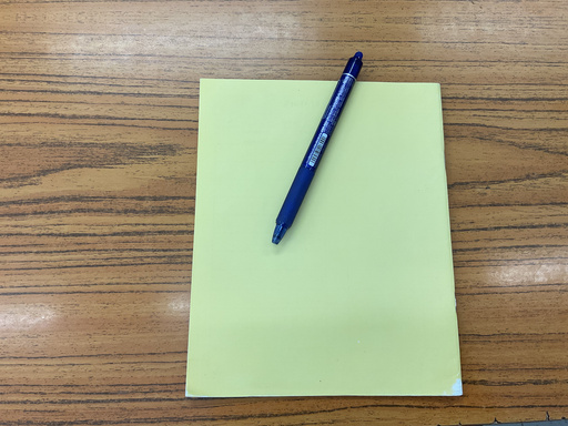 School Life(as a 14 yr writer)