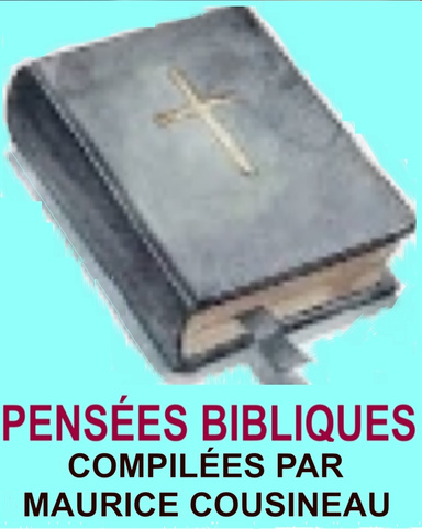 Volume XI - Bible