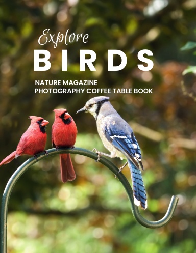Explore Birds Nature Magazine