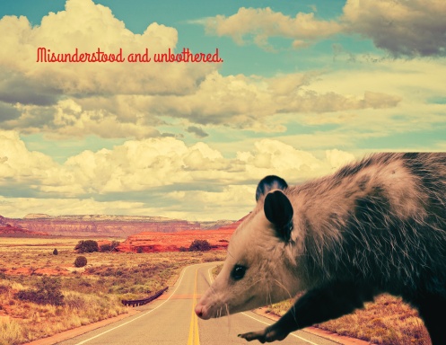 Misunderstood 2026 Calendar
