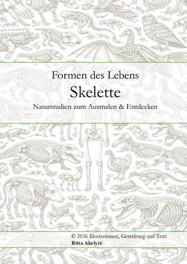 Formen des Lebens - Skelette
